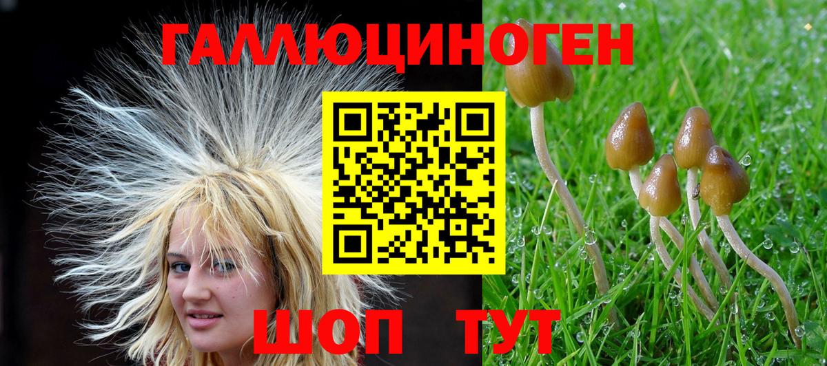 Кыштым  Псилоцибиновые грибы прущие грибы  Вход с VPN 