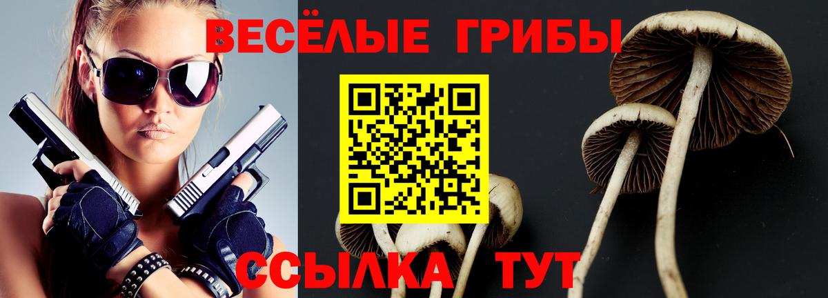 Псилоцибиновые грибы Psilocybe Кыштым